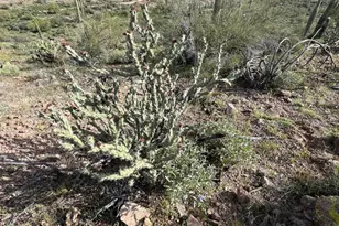 0 E Angel Basin Rd, Queen Valley, AZ 85118 - Photo 7