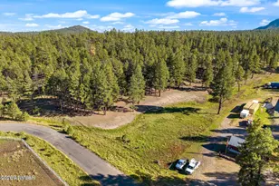 158 County Road 2266 --, Alpine, AZ 85920 - Photo 1