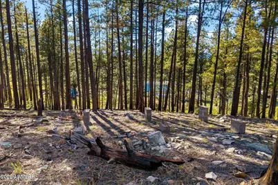 158 County Road 2266 -- #-, Alpine, AZ 85920 - Photo 9
