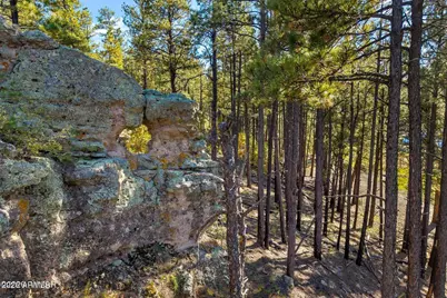 158 County Road 2266 -- #-, Alpine, AZ 85920 - Photo 5