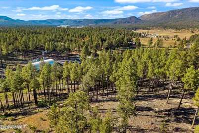 158 County Road 2266 -- #-, Alpine, AZ 85920 - Photo 11