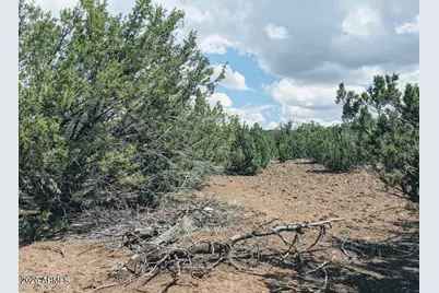 27 County Rd N8060 -- #-, Concho, AZ 85924 - Photo 13
