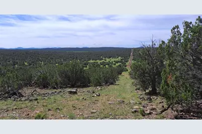 33 County Rd N8388 -- #-, Concho, AZ 85924 - Photo 5