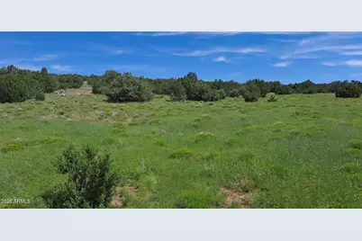 33 County Rd N8388 -- #-, Concho, AZ 85924 - Photo 7