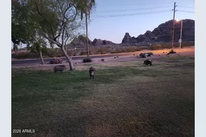 6027 E Harvard Street, Scottsdale, AZ 85257 - Photo 7