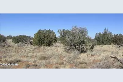 550 Sterling- Lot 825 Avenue #825, Heber, AZ 85928 - Photo 3