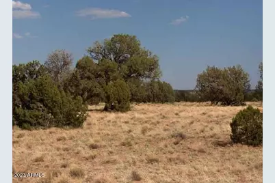 6103 River Run Drive #396, Heber, AZ 85928 - Photo 1