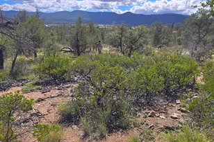 4R-5 N Ike Clark Pkwy, Young, AZ 85554 - Photo 1