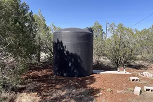 1993 Cumberland Rd, Ash Fork, AZ 86320 - Photo 43