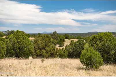 000-C Wooden Ear Ranch Road #50, Seligman, AZ 86337 - Photo 1