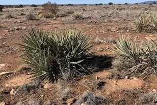 Lot 663 Chevelon Canyon Ranch --, Heber, AZ 85928 - Photo 1