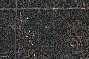 9325 Bald Eagle Rd, Show Low, AZ 85901 - Photo 1