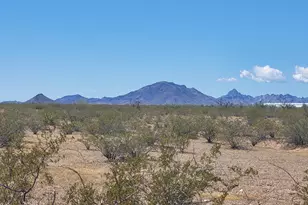 413Xx W Palm, Tonopah, AZ 85354 - Photo 1