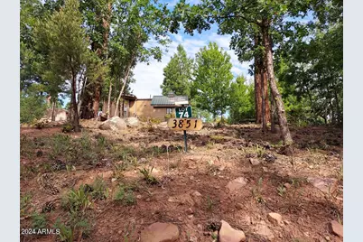 3851 S Mule Skinner, Show Low, AZ 85901 - Photo 1