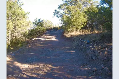 Tbd 89.59 Acres Juniper Flats, Bisbee, AZ 85603 - Photo 1