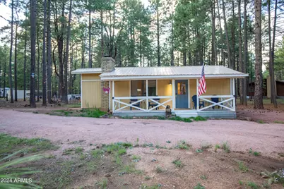 2834 Wildcat Road, Forest Lakes, AZ 85931 - Photo 1
