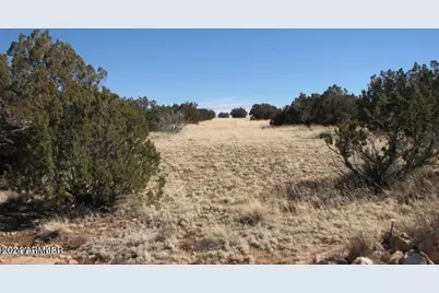 Sec 31 T15N,R16E:sw4,Ne4 -- #15, Heber, AZ 85928 - Photo 1