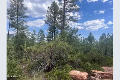 0000 N Mistletoe Lot Q -- #Q, Pine, AZ 85544 - Photo 1