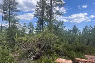 0000 N Mistletoe Lot Q --, Pine, AZ 85544 - Photo 1