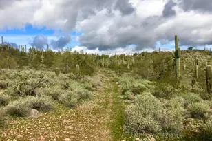 3353 W Roughrider 5 Ac Rd, New River, AZ 85087 - Photo 1