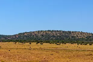 Antelope Valley Ranches Lot 18 37 Acres, Seligman, AZ 86337 - Photo 1