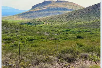 Tbd N Via Montelena Dr 37.64 Acres -- #-, Douglas, AZ 85607 - Photo 1