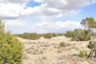 33Xxx US Hwy 180 --, Saint Johns, AZ 85936 - Photo 1