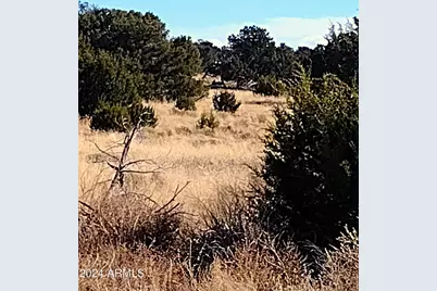 Lot 276 Elk Valley Ranch -- #276, Saint Johns, AZ 85936 - Photo 1