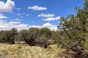 4062 Apache Rd, Snowflake, AZ 85937 - Photo 1