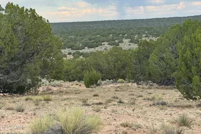 171 E Witch Well Ranches -- #171, Saint Johns, AZ 85936 - Photo 1