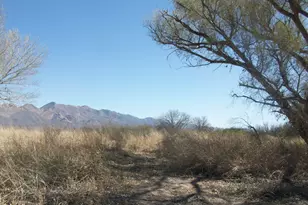 3917 W Thompson, Elfrida, AZ 85610 - Photo 1