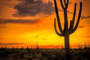 227 W Patton Rd & 227th Ave --, Wittmann, AZ 85361 - Photo 1