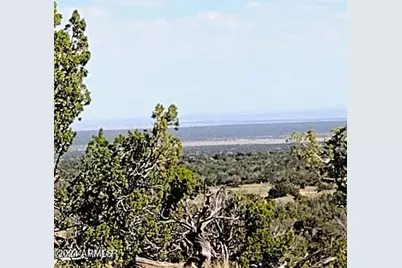 Lot 70 Red Sky Ranch, Saint Johns, AZ 85936 - Photo 1