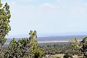 Lot 70 Red Sky Ranch, Saint Johns, AZ 85936 - Photo 1