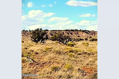 Lot 11 Carrizo Ranch -- #011, Saint Johns, AZ 85936 - Photo 1