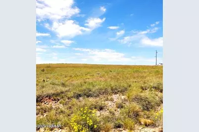 4 Lots in San Juan Meadows -- #366,365,50 & 49, Saint Johns, AZ 85936 - Photo 1