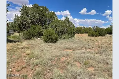 10 Fairway Circle #1, Concho, AZ 85924 - Photo 1