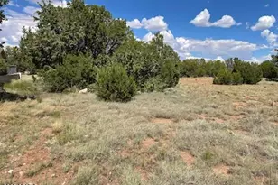 10 Fairway Cir, Concho, AZ 85924 - Photo 1