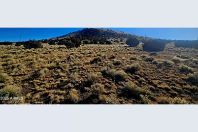 Lot 95 Fig Dr Drive #95, Concho, AZ 85924 - Photo 1