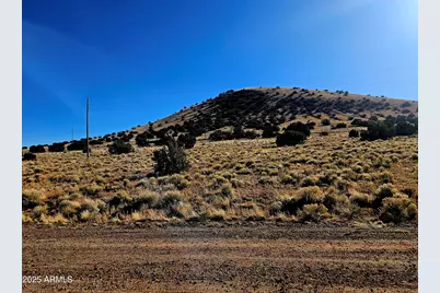 Lot 133 Circle Drive #133, Concho, AZ 85924 - Photo 1