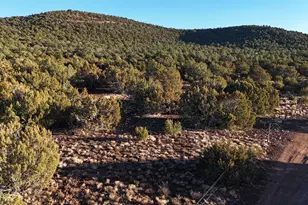 Tbd County Rd N 3314 --, Vernon, AZ 85940 - Photo 1