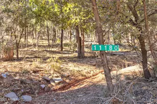 11180 N Houton Mesa Rd, Payson, AZ 85541 - Photo 1