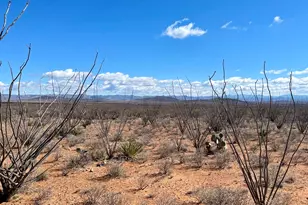 Tbd W 39 918 Ac Lot 23 -- W, Douglas, AZ 85607 - Photo 1
