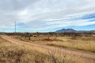 10255 E Calle Tormenta, Hereford, AZ 85615 - Photo 1