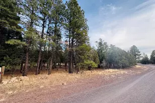 2211 Clear Creek, Happy Jack, AZ 86024 - Photo 1