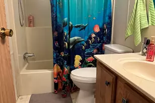 11596 W Sierra Dawn Blvd, Surprise, AZ 85378 - Photo 17