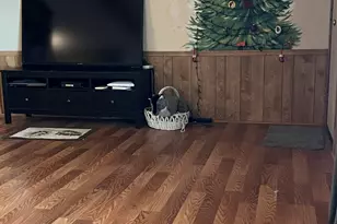 11596 W Sierra Dawn Blvd, Surprise, AZ 85378 - Photo 9