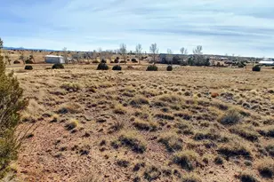 Lot 32 Taylor Farms, Taylor, AZ 85939 - Photo 1