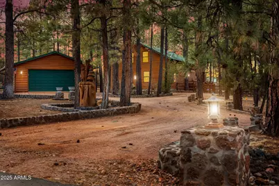 2718 Covered Wagon, Overgaard, AZ 85933 - Photo 1