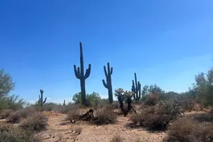 33505 N 55th St, Cave Creek, AZ 85331 - Photo 1